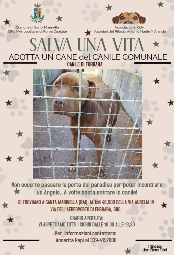 CANILE DI FURBARA ORARI E INDIRIZZO